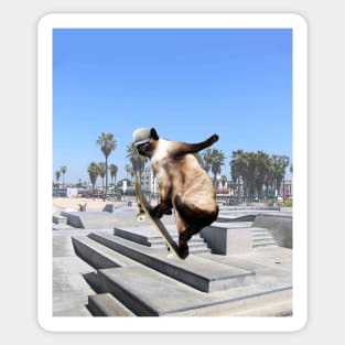 Siamese Cat Kitty Skateboard Skating Skateboarding Funny Sticker